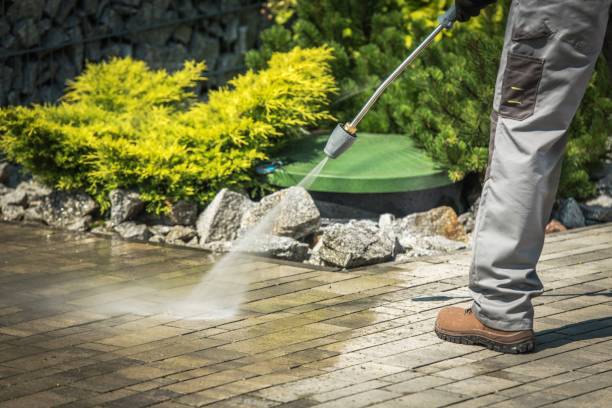 Best Roof Washing  in Fairbanks, AK
