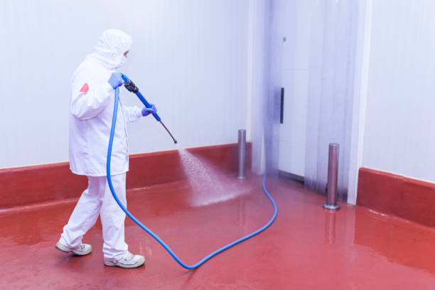 Best Pool Deck Cleaning  in Fairbanks, AK