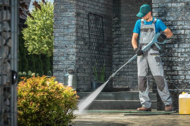 Best Roof Washing  in Fairbanks, AK