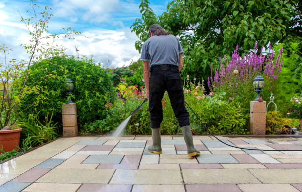 Best Driveway Pressure Washing  in Fairbanks, AK